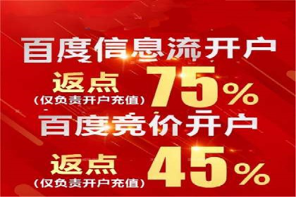 创新引领者：某信息流广告公司的技术突破案例